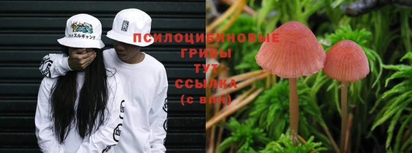 2c-b Абаза