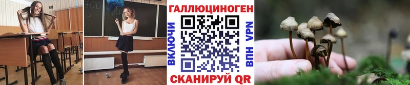 Галлюциногенные грибы Psilocybine cubensis  наркотики  кракен зеркало  Новоаннинский 